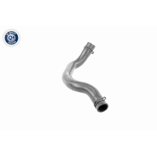 VAICO K&uuml;hlerschlauch Q+, Erstausr&uuml;sterqualit&auml;t V20-3244