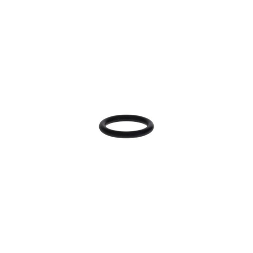 BOSCH Dichtring 1 900 210 013