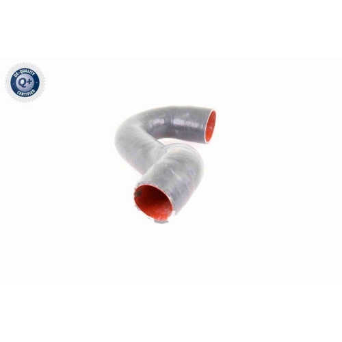 VAICO Ladeluftschlauch Q+, Erstausrüsterqualität V10-3784