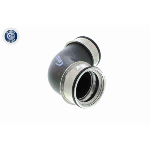 VAICO Ladeluftschlauch Q+, Erstausrüsterqualität V10-3800