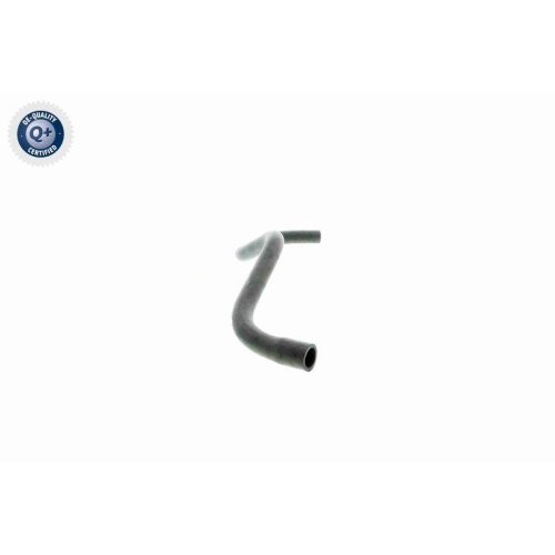 VAICO Schlauch, Kurbelgehäuseentlüftung Q+, Erstausrüsterqualität V50-0065