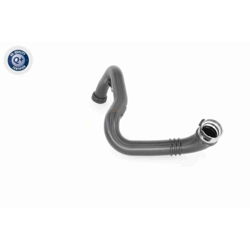 VAICO Ladeluftschlauch Q+, Erstausrüsterqualität V40-2262