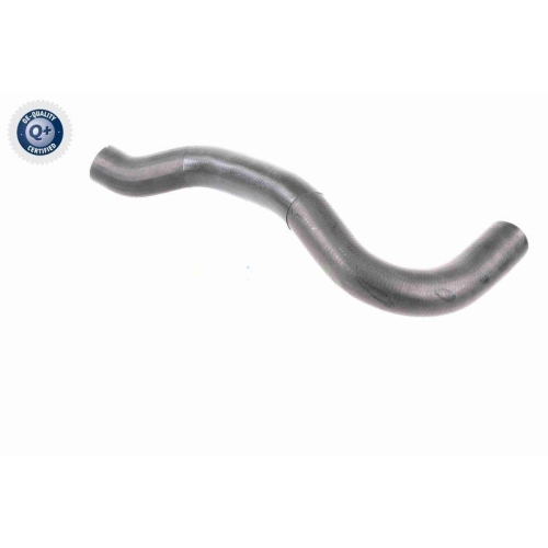 VAICO Ladeluftschlauch Q+, Erstausr&uuml;sterqualit&auml;t V42-0610
