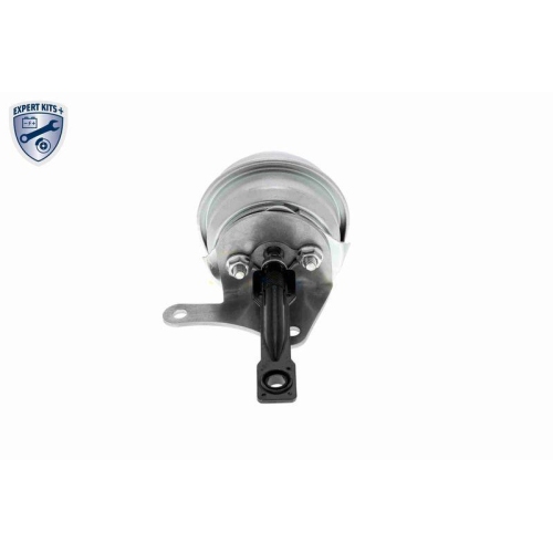 VEMO Steuerdose, Lader EXPERT KITS +