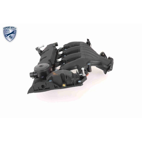 VAICO Zylinderkopfhaube EXPERT KITS + V42-1046