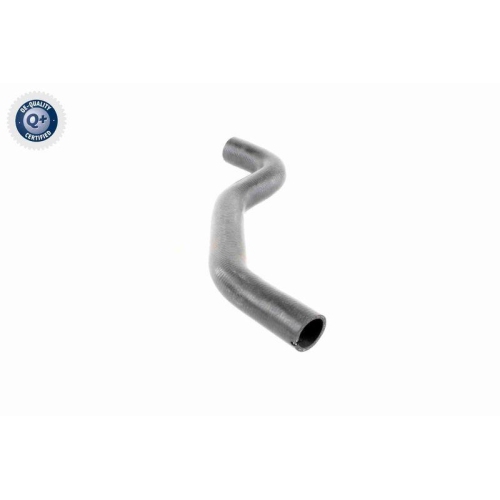 VAICO K&uuml;hlerschlauch Q+, Erstausr&uuml;sterqualit&auml;t V46-0901