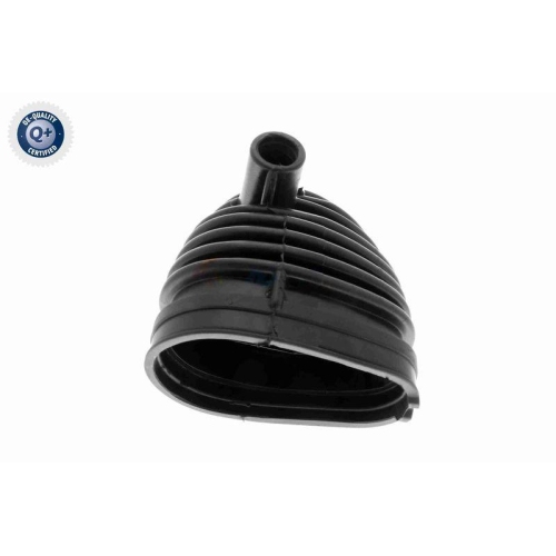VAICO Ansaugschlauch, Luftfilter Q+, Erstausrüsterqualität V20-2134