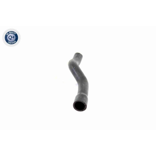 VAICO Kühlerschlauch Q+, Erstausrüsterqualität V20-1611