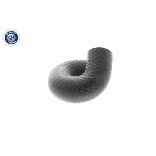 VAICO Kühlerschlauch Q+, Erstausrüsterqualität V20-1697