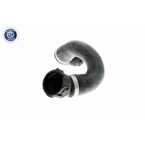 VAICO Kühlerschlauch Q+, Erstausrüsterqualität V20-1780