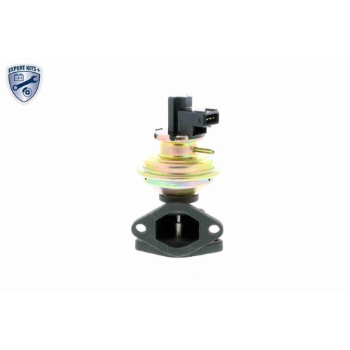 VEMO AGR-Ventil EXPERT KITS + V48-63-0001