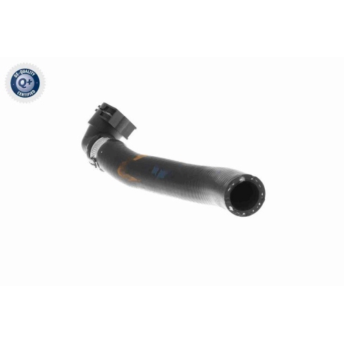 VAICO K&uuml;hlerschlauch Q+, Erstausr&uuml;sterqualit&auml;t V20-3682