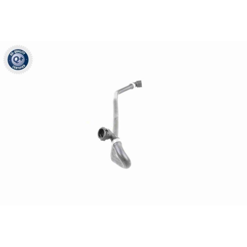 VAICO Kühlerschlauch Q+, Erstausrüsterqualität V20-3319