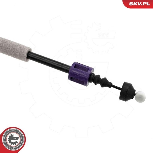 ESEN SKV Türschloss