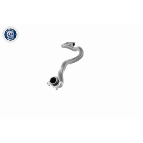 VAICO Kühlerschlauch Q+, Erstausrüsterqualität V20-2892