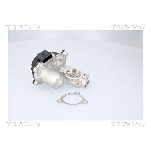 TRISCAN AGR-Ventil 8813 29116