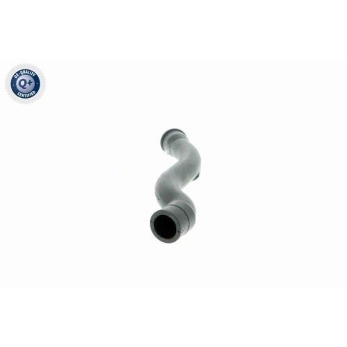 VAICO Schlauch, Kurbelgehäuseentlüftung Q+, Erstausrüsterqualität V10-2938