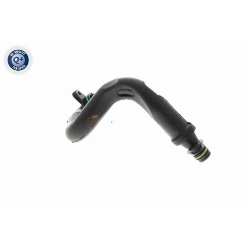 VAICO Ventil, Kurbelgehäuseentlüftung Green Mobility Parts V10-8677