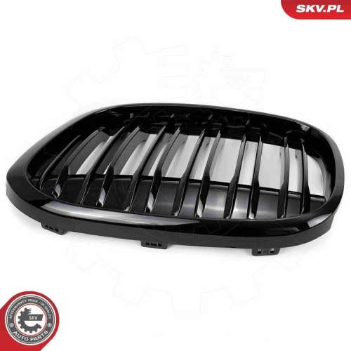 ESEN SKV Kühlergitter