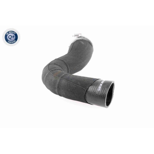 VAICO Ladeluftschlauch Q+, Erstausr&uuml;sterqualit&auml;t V48-0182