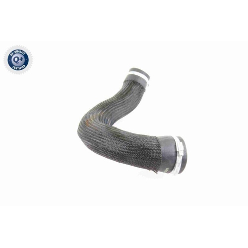 VAICO Ladeluftschlauch Q+, Erstausrüsterqualität V10-3834