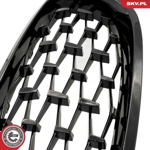 ESEN SKV Kühlergitter