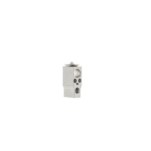 MAHLE Expansionsventil, Klimaanlage BEHR AVE 173 000S