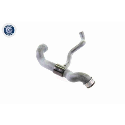 VAICO Kühlerschlauch Q+, Erstausrüsterqualität V30-1660