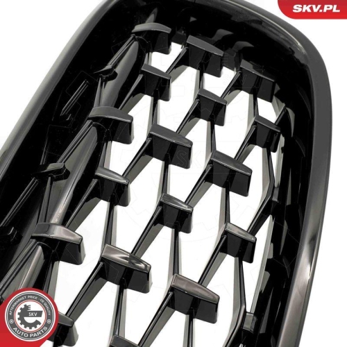 ESEN SKV Kühlergitter