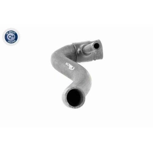 VAICO Kühlerschlauch Q+, Erstausrüsterqualität V30-1951