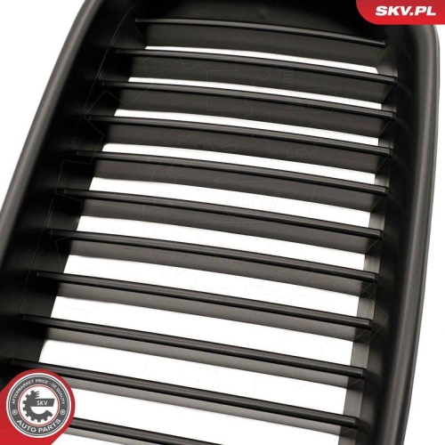 ESEN SKV Kühlergitter