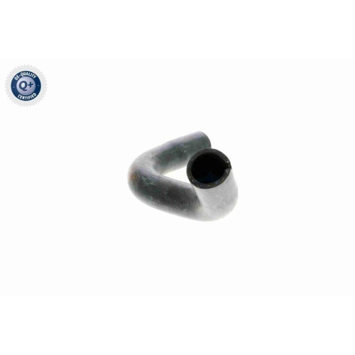 VAICO K&uuml;hlerschlauch Q+, Erstausr&uuml;sterqualit&auml;t V24-0872