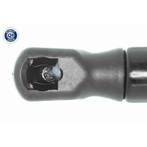 VAICO Gasfeder, Koffer-/Laderaum Q+, Erstausr&uuml;sterqualit&auml;t V40-2415
