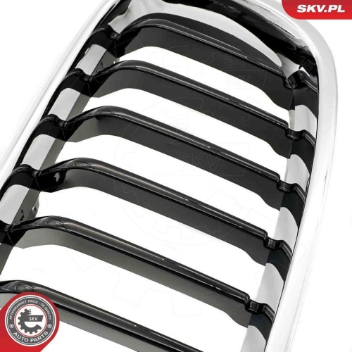 ESEN SKV Kühlergitter