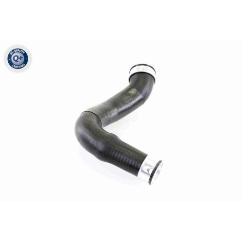 VAICO Ladeluftschlauch Q+, Erstausrüsterqualität