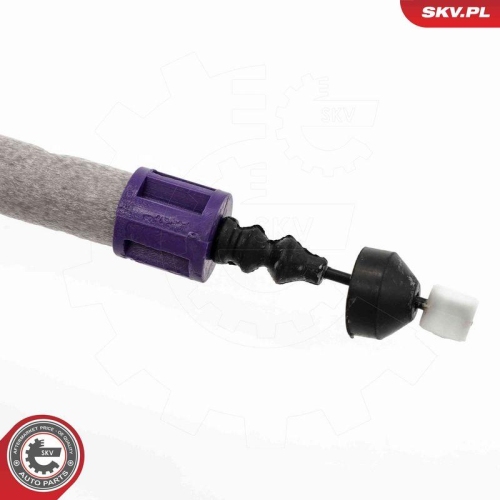 ESEN SKV Türschloss