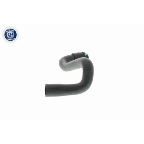 VAICO K&uuml;hlerschlauch Q+, Erstausr&uuml;sterqualit&auml;t V40-1347