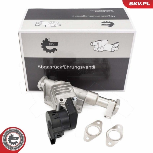 ESEN SKV AGR-Ventil 14SKV287