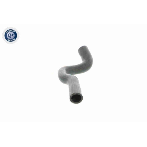 VAICO Kühlerschlauch Q+, Erstausrüsterqualität V20-1704