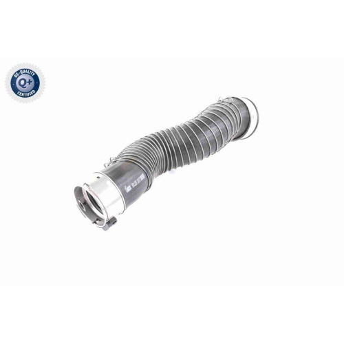 VAICO Ladeluftschlauch Q+, Erstausrüsterqualität V20-3251
