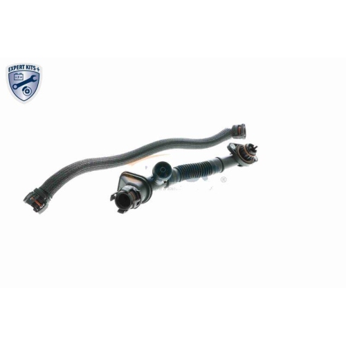 VAICO Kühlerschlauch EXPERT KITS + V20-3291