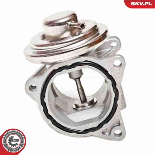 ESEN SKV AGR-Ventil 14SKV019