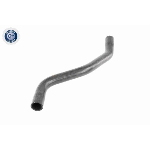 VAICO K&uuml;hlerschlauch Q+, Erstausr&uuml;sterqualit&auml;t V46-0915