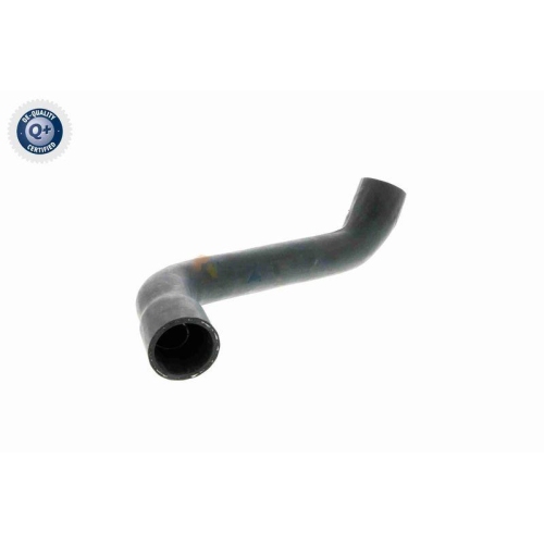 VAICO Kühlerschlauch Q+, Erstausrüsterqualität V30-0711