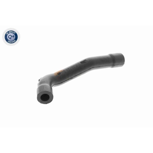 VAICO Schlauch, Kurbelgehäuseentlüftung Q+, Erstausrüsterqualität V30-0902