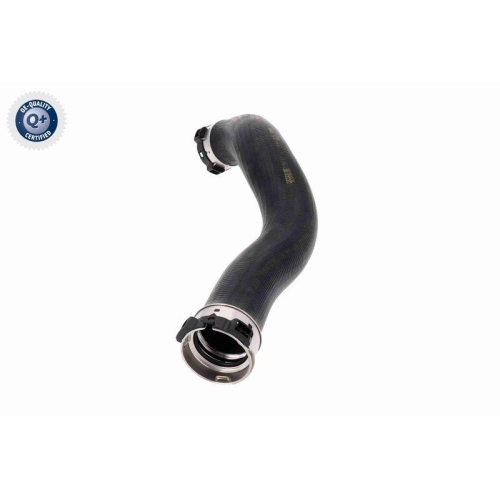 VAICO Ladeluftschlauch Q+, Erstausrüsterqualität V30-4444