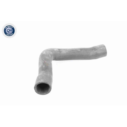 VAICO Ladeluftschlauch Q+, Erstausrüsterqualität V10-2909