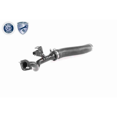 VAICO Ladeluftschlauch EXPERT KITS + V24-0722