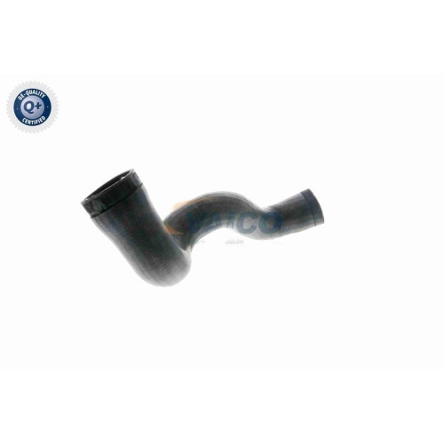 VAICO Ladeluftschlauch Q+, Erstausrüsterqualität V10-3141