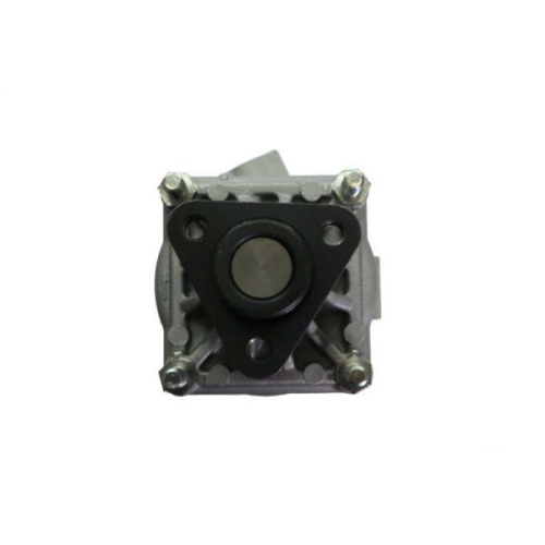LAUBER Hydraulikpumpe, Lenkung 55.0039